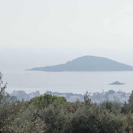 Armamento Villa Moni Evaggelistrias Dış mekan fotoğraf